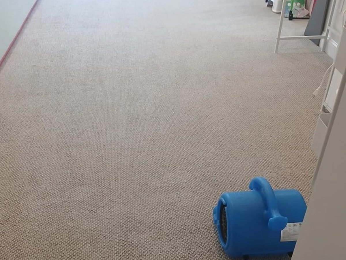 The same beige carpet after steam extraction, stain-free