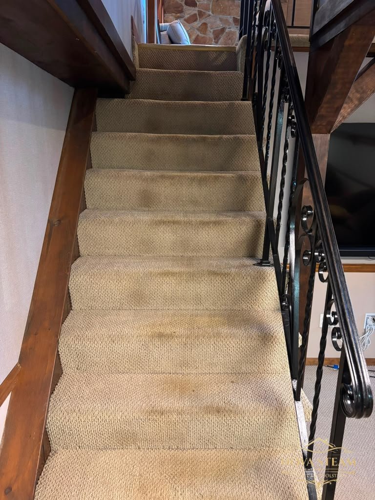 Beige carpeted staircase with visible dark traffic stains down every step before Nova Steam cleaned it